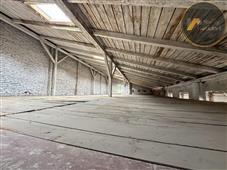 photo_16