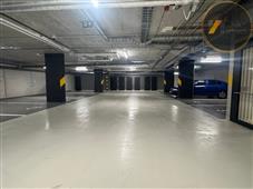 photo_11