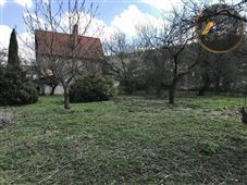 photo_3