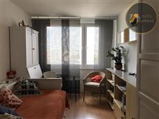 photo_4