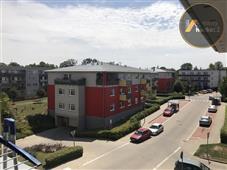 photo_17