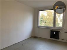 photo_3