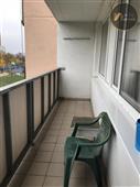 photo_12