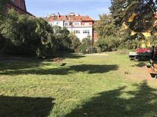 photo_5
