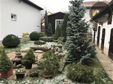 photo_10