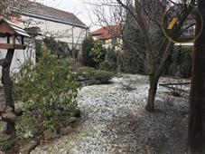 photo_14