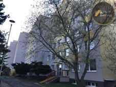 photo_4
