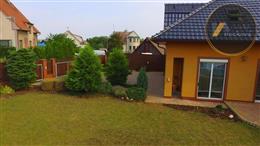 photo_8