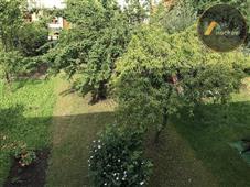 photo_17