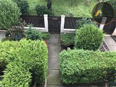 photo_19