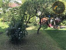 photo_24