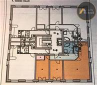 photo_15