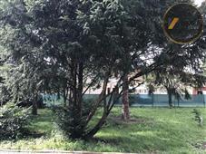 photo_14