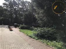 photo_15