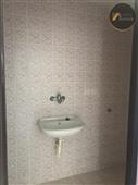 photo_7