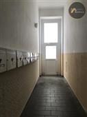 photo_8