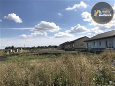 photo_6