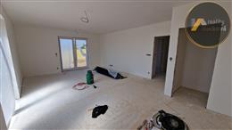 photo_11