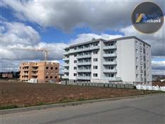 photo_1